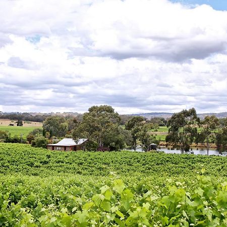 Stonewell Cottages And Vineyards Tanunda Exterior foto