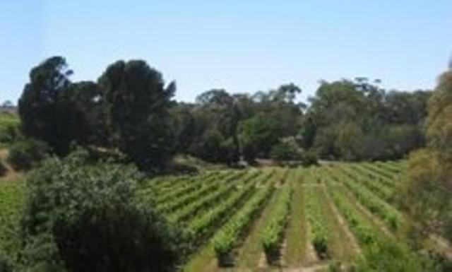 Stonewell Cottages And Vineyards Tanunda Exterior foto