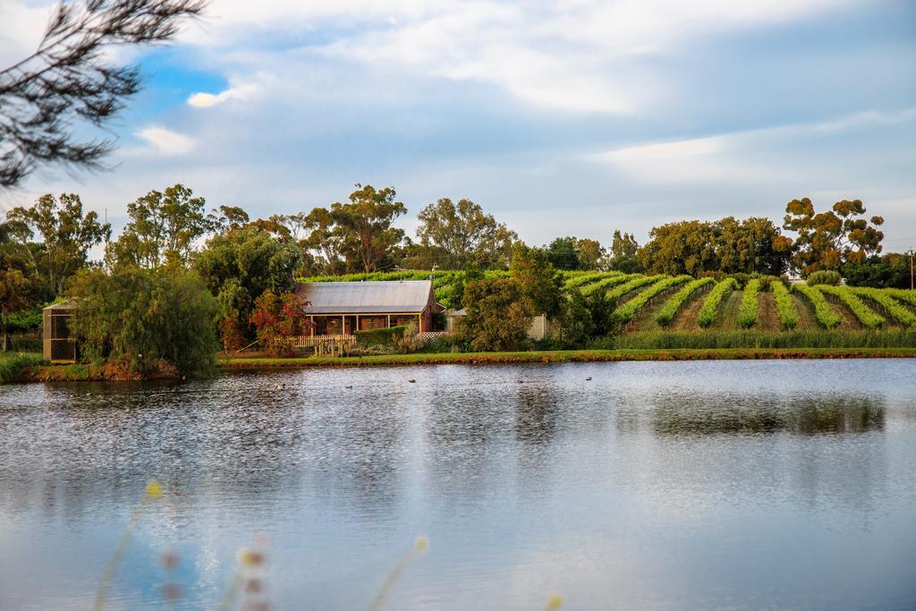 Stonewell Cottages And Vineyards Tanunda Exterior foto